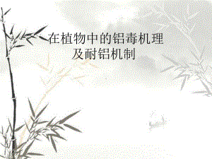 植物中的耐铝机制课件.ppt