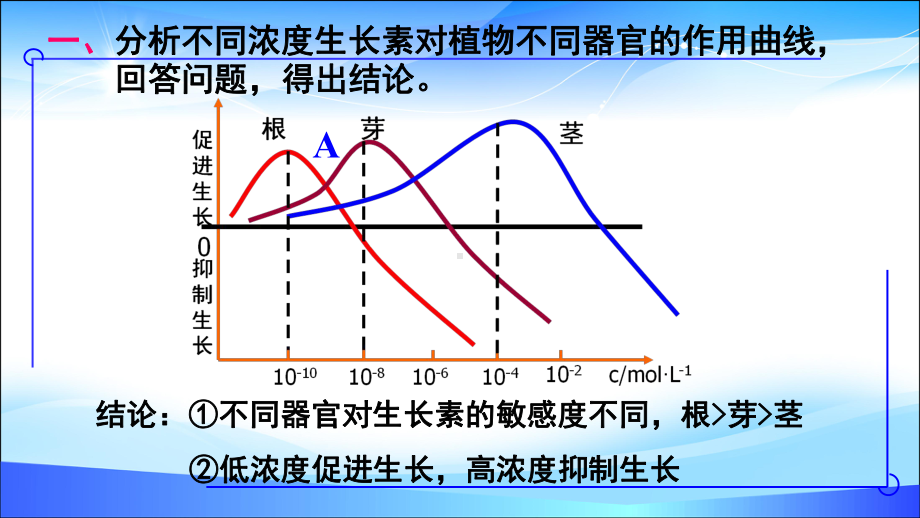 生物必修三第三章第二节生长素的生理作用(45张)课件.pptx_第3页