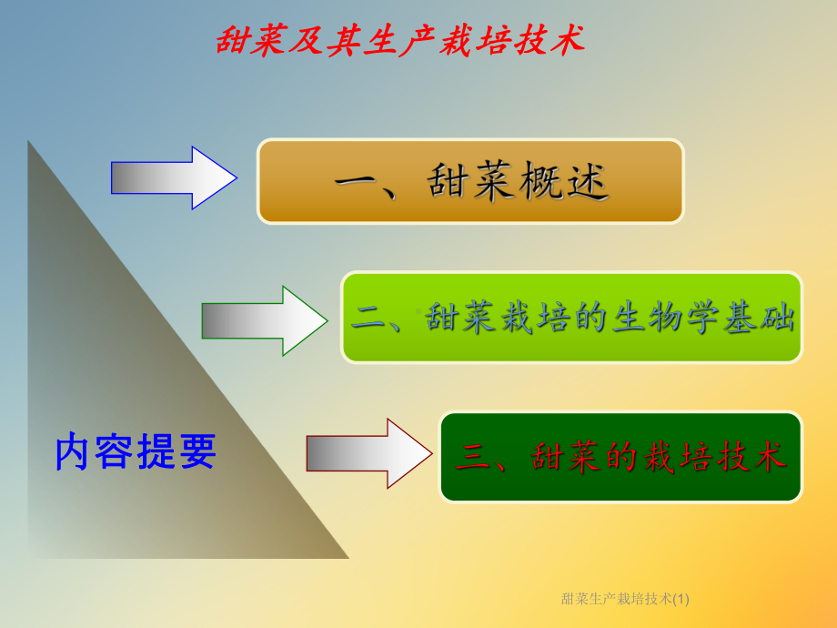 甜菜生产栽培技术课件2.ppt_第2页