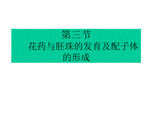 ()花药的发育和花粉粒的形成课件.ppt