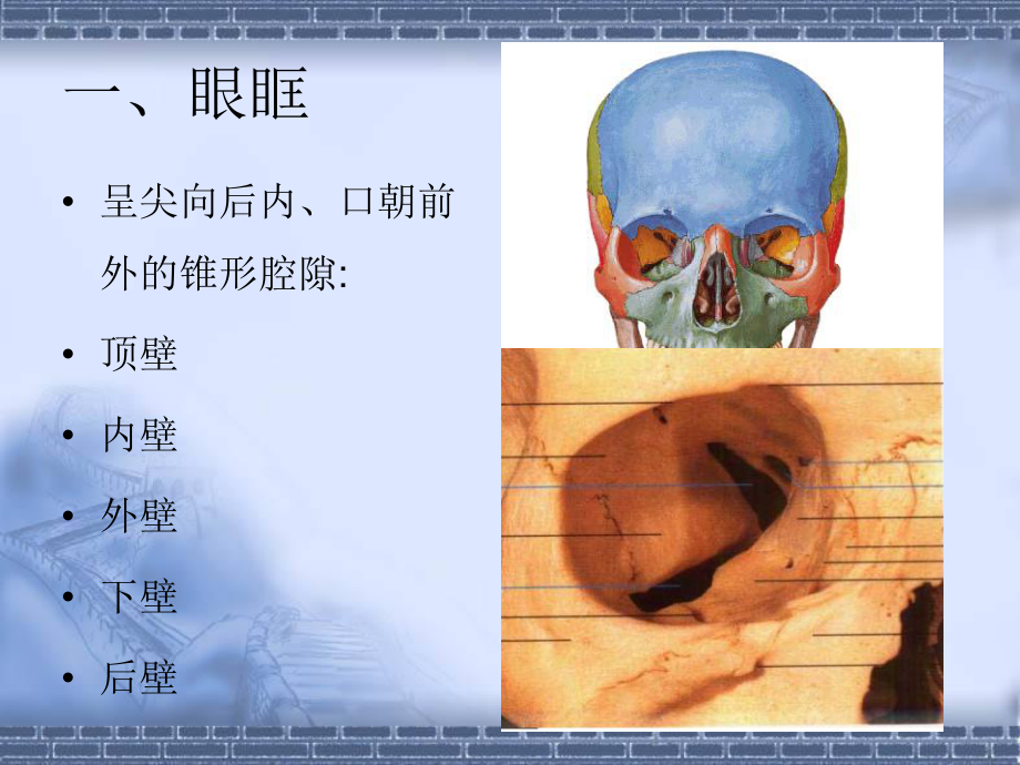 眼及眼眶解剖及常见疾病课件.ppt_第3页