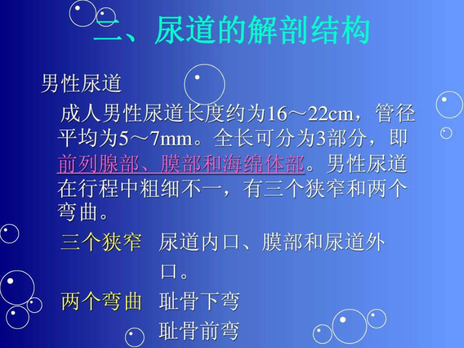 留置导尿的并发症及护理措施-课件-2.ppt_第3页