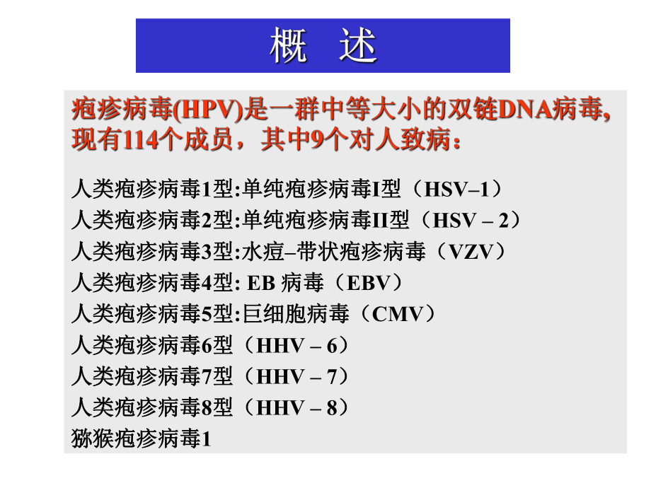 疱疹病毒概述课件.ppt_第2页