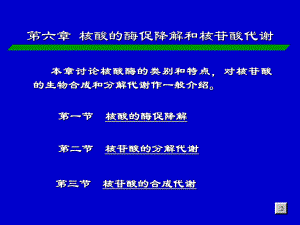 第章核酸的酶促降解和核苷酸代谢课件.ppt