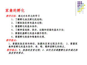 禽生产学41课件.ppt