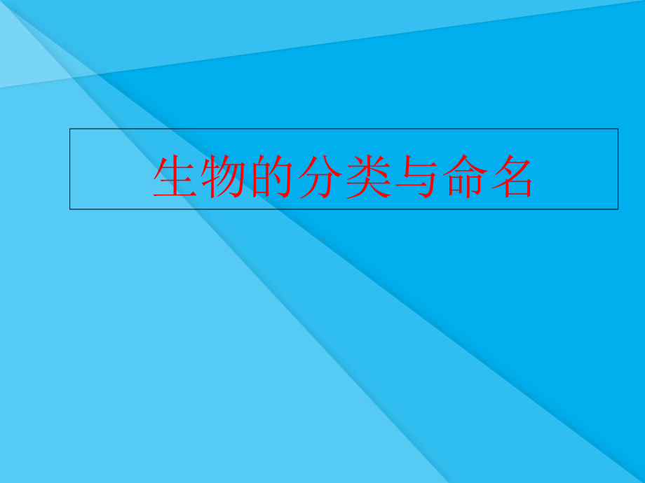 生物的分类课件13北师大版优秀课件.ppt_第1页