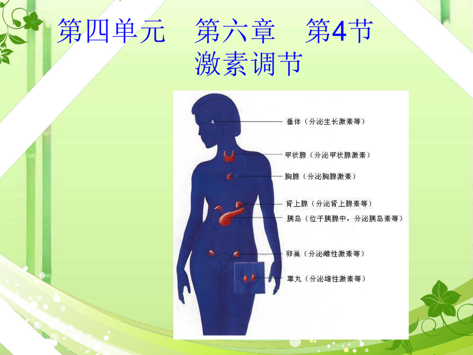 激素调节PPT课件30-人教版.ppt_第1页