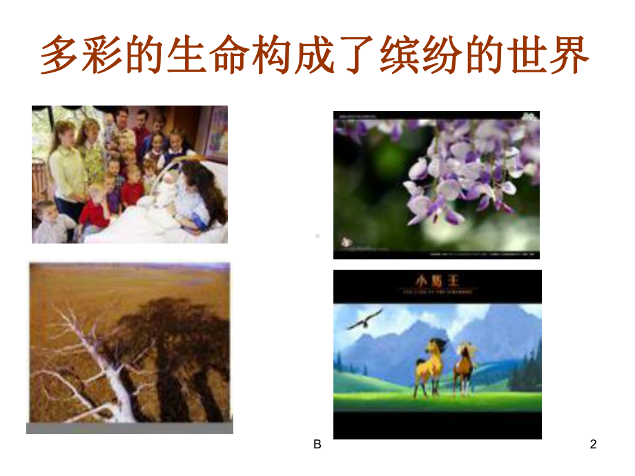 生命安全教育(一)课件.ppt_第2页