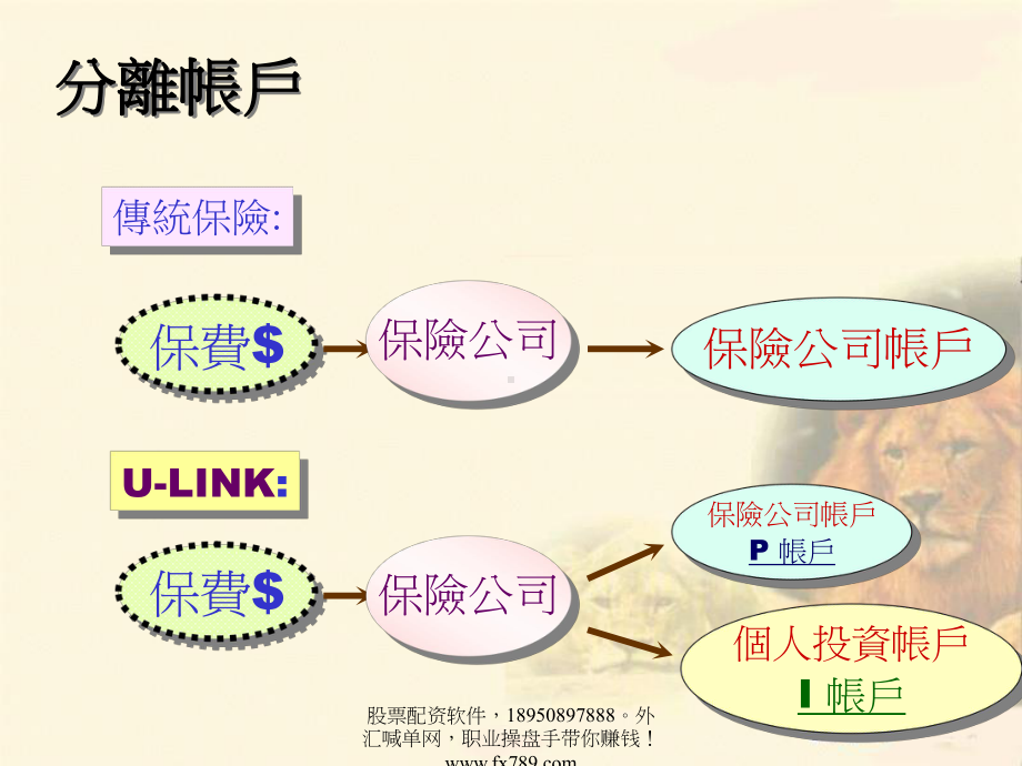 简体各国投资联结型商品市场占有率课件.ppt_第3页