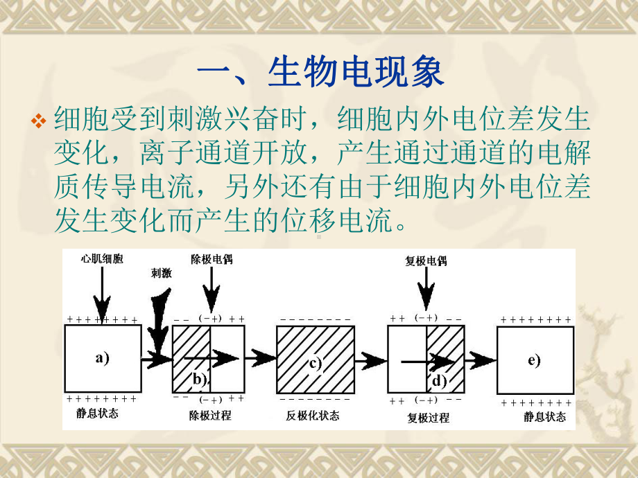 生物医学电源模型和三维问题(ElectrosignalSourceModelb...b课件.ppt_第3页