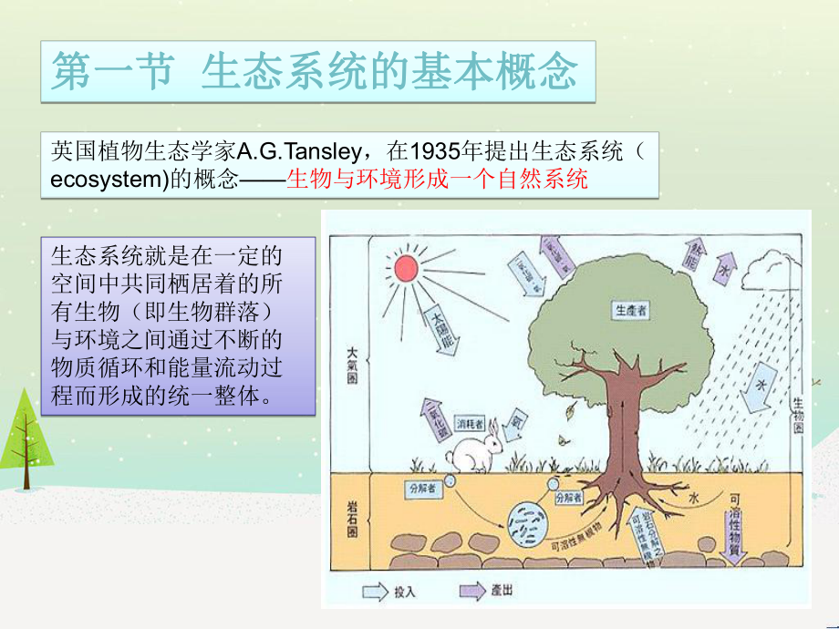 生态系统的基本结构课件.ppt_第3页