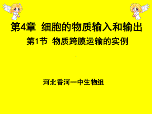 物质跨膜运输的实例16优秀课件.ppt