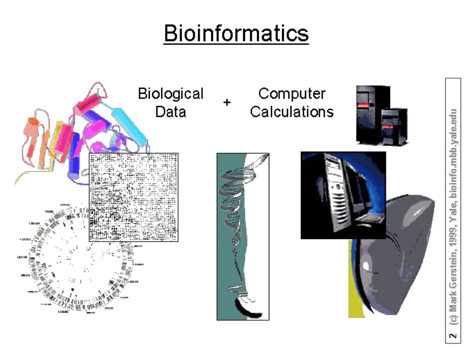 生物信息数据库与生物信息中心课件.ppt_第3页