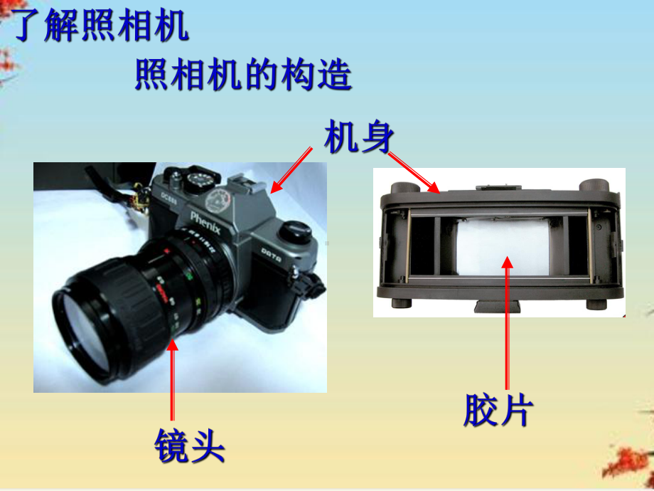 照相机与眼球、视力的矫正2苏科版课件.ppt_第3页