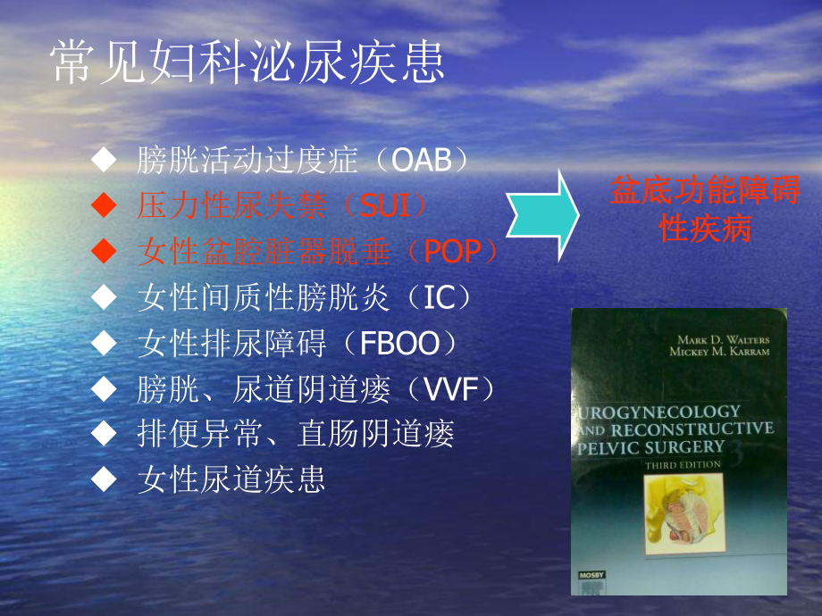 盆底外科相关问题课件.ppt_第3页