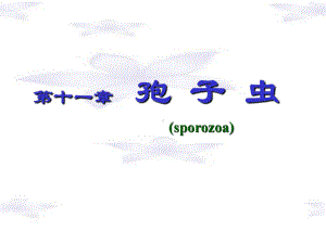 疟原虫、弓形虫朱课件.ppt