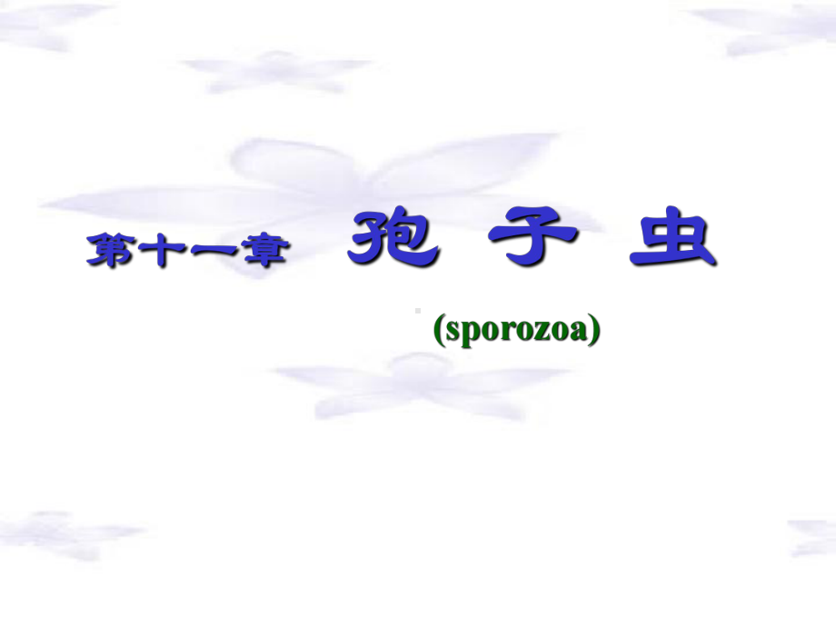 疟原虫、弓形虫朱课件.ppt_第1页