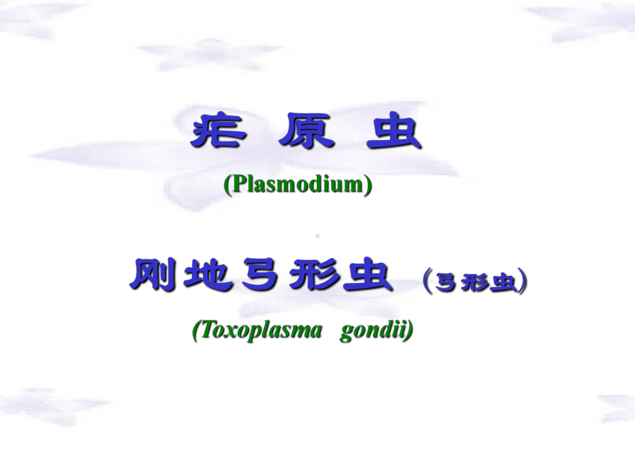 疟原虫、弓形虫朱课件.ppt_第2页