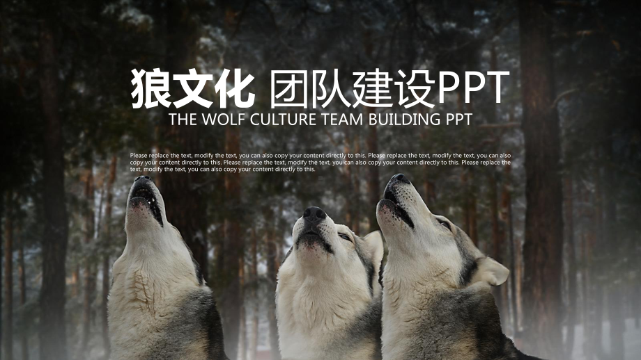 狼文化团队建设课件.pptx_第1页