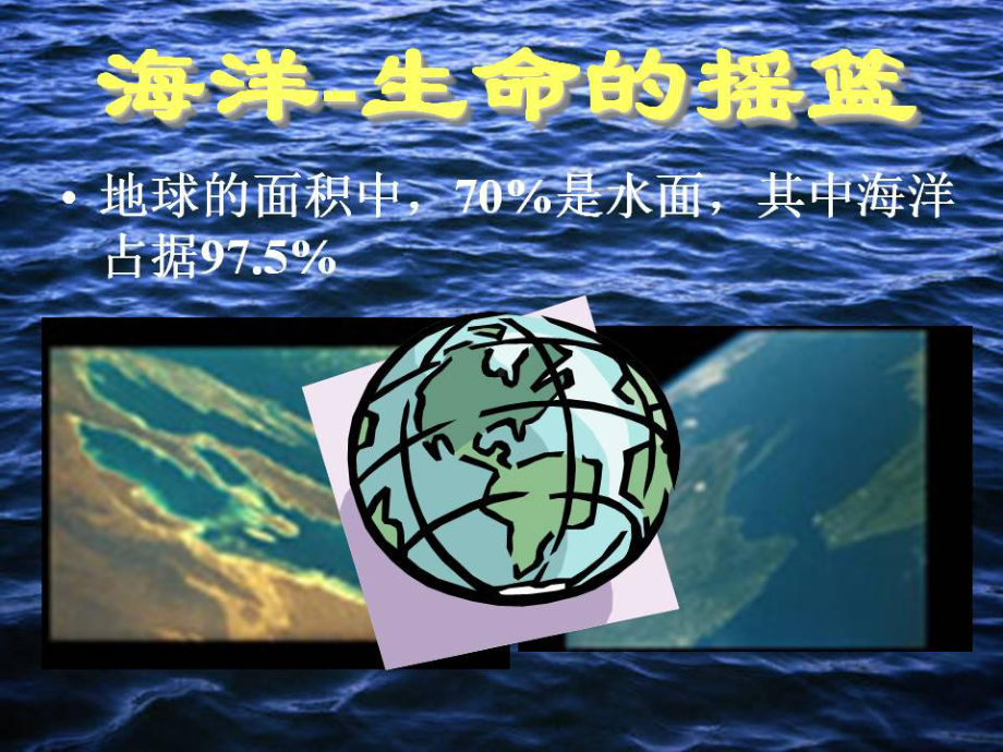 海洋与环境保护模板[1]课件.ppt_第3页