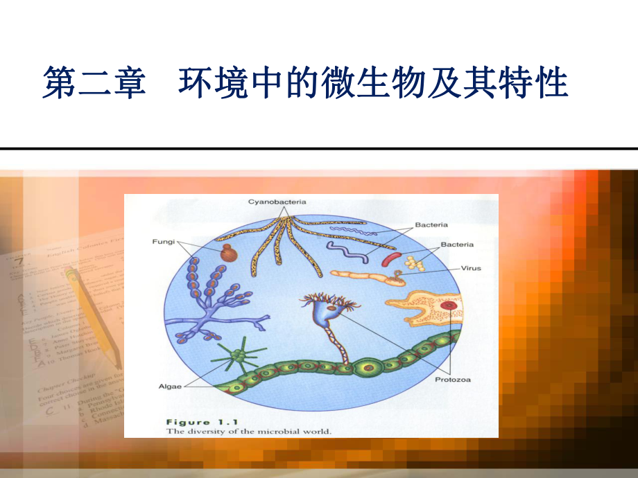 环境中的微生物原核课件.ppt_第1页