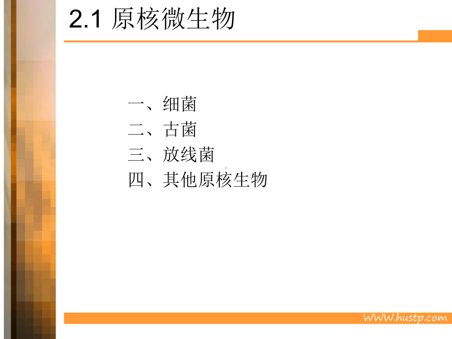 环境中的微生物原核课件.ppt_第3页