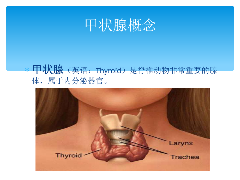 甲状腺围手术期护理2最终版张幻灯片.ppt_第2页