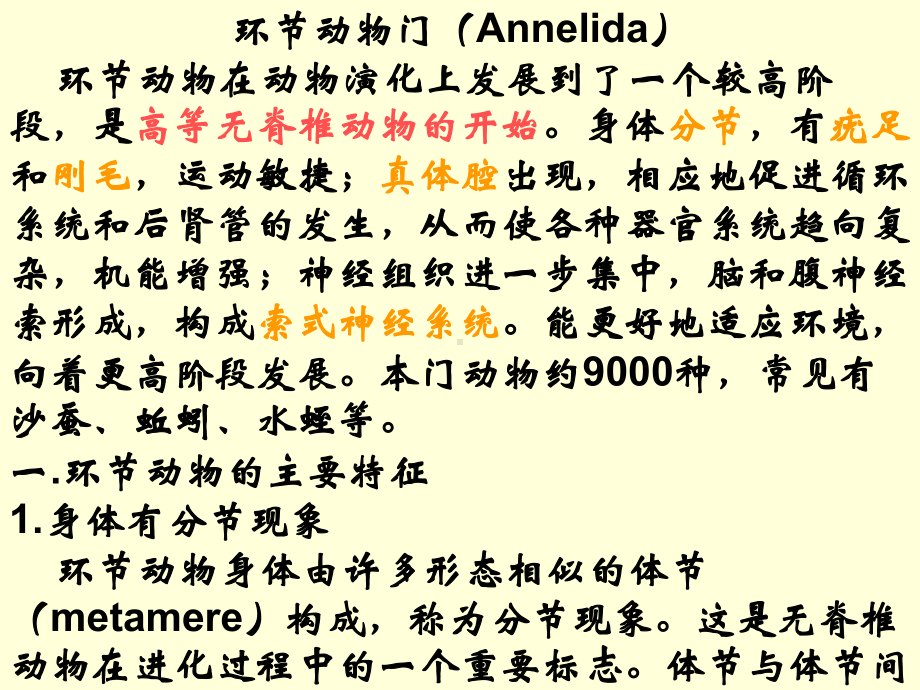 环节动物门(Annelida)环节动物在动物演化上发展到了一课件.ppt_第1页