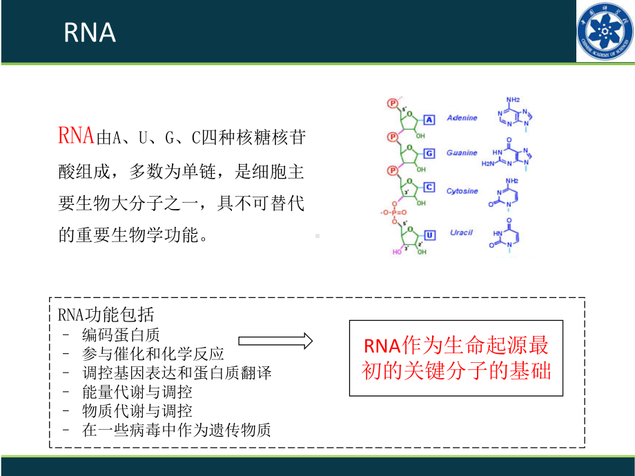 生命组学—RNA课件.ppt_第3页