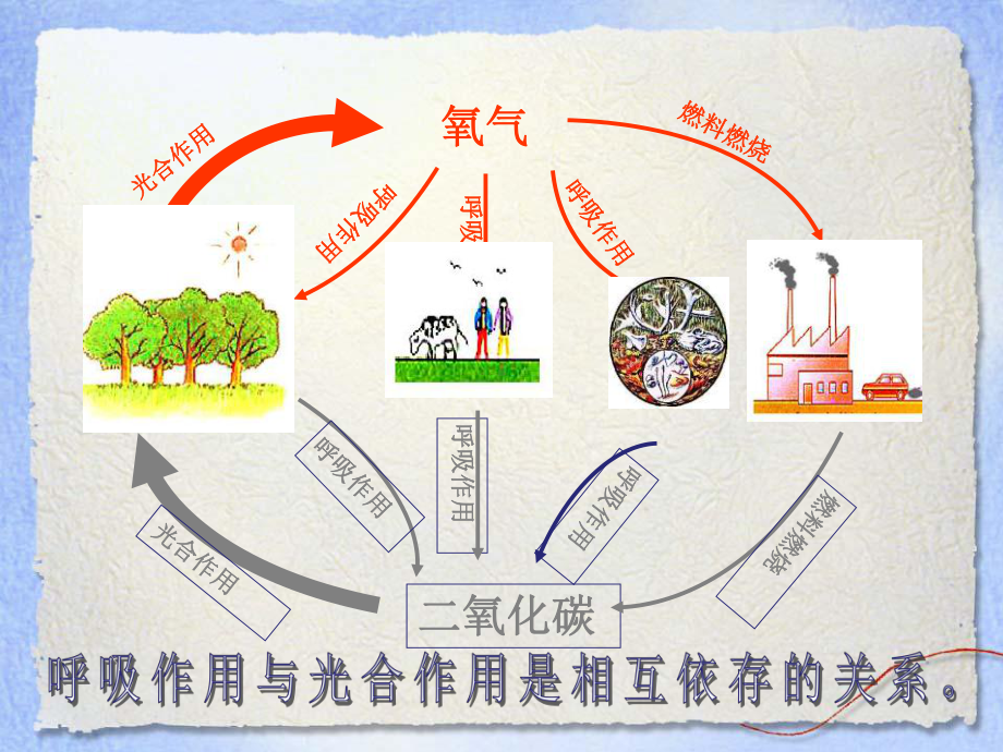 爱护植被绿化祖国-完整版PPT课件.ppt_第2页