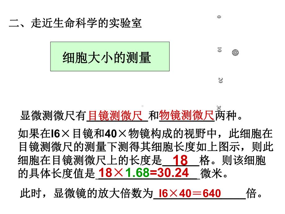 生命科学复习沪教版课件.ppt_第3页