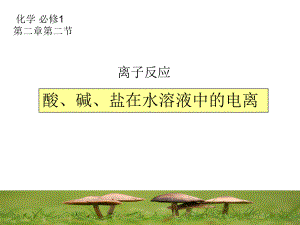 离子反应-酸碱盐在水溶液中的电离课件.ppt