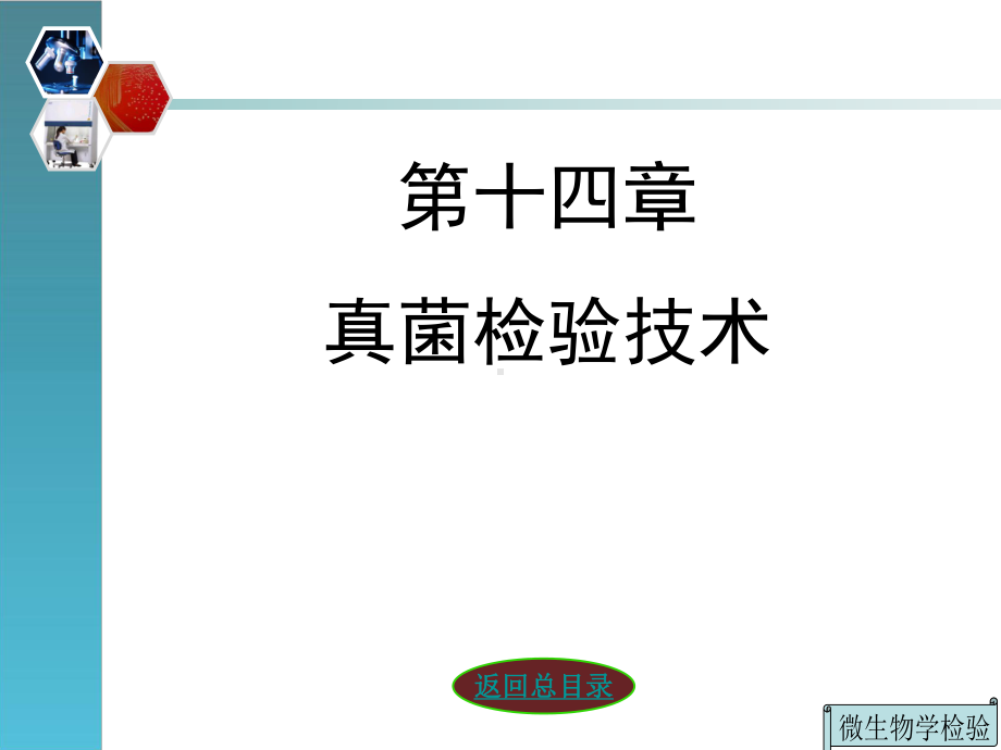 真菌检验技术课件.ppt_第3页