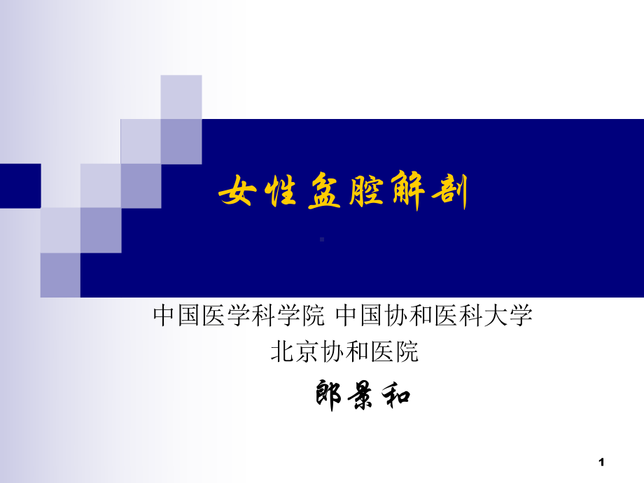 盆腔解剖终末版课件.ppt_第1页