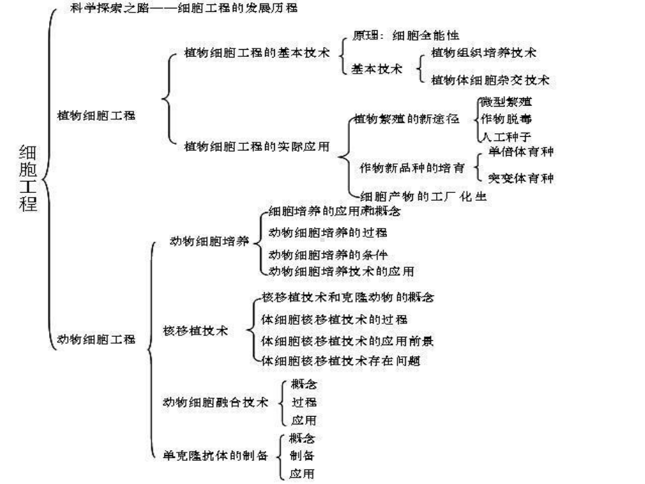 生物21植物细胞工程课件人教版选修3.ppt_第3页