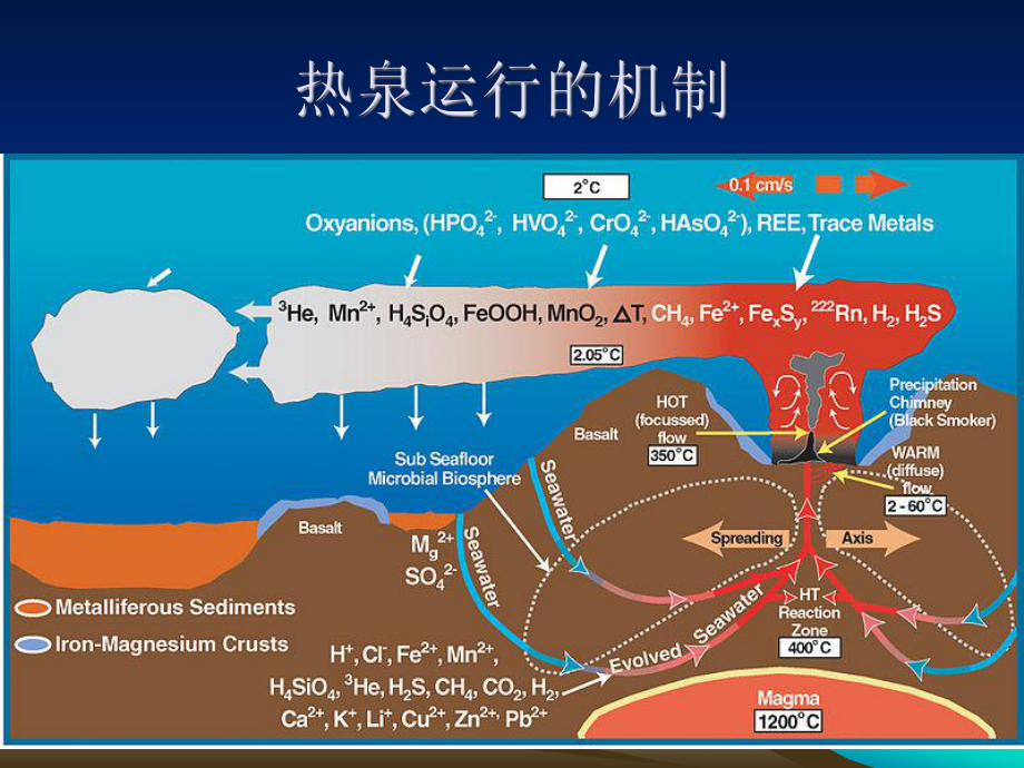 海底热泉生态系统分解课件.ppt_第2页