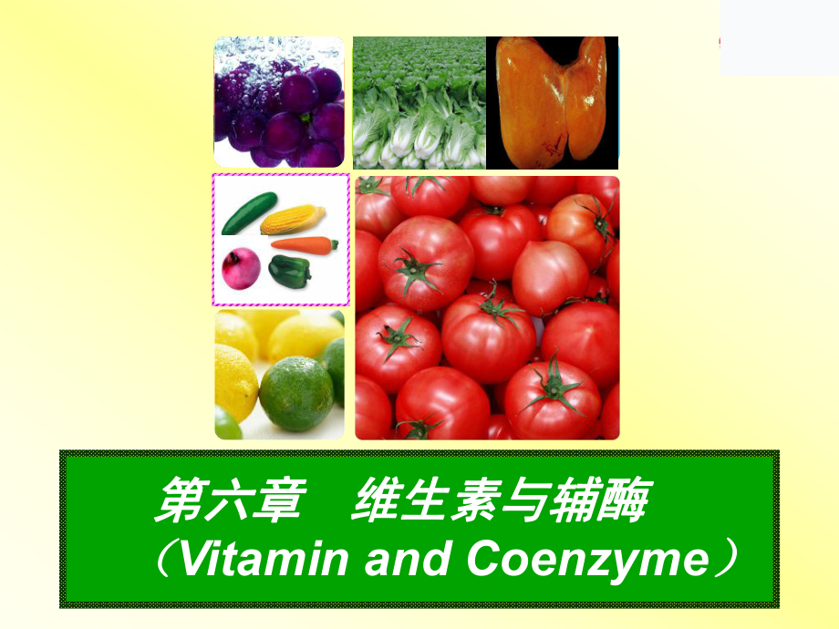 生物化学维生素课件2.ppt_第1页