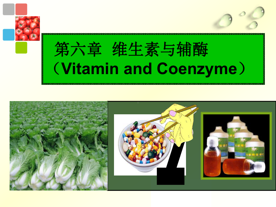 生物化学维生素课件2.ppt_第2页