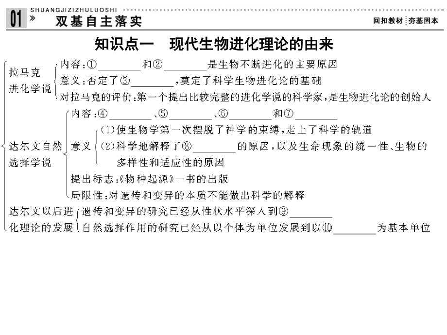 现代生物进化理论一轮复习上课用课件.ppt_第2页