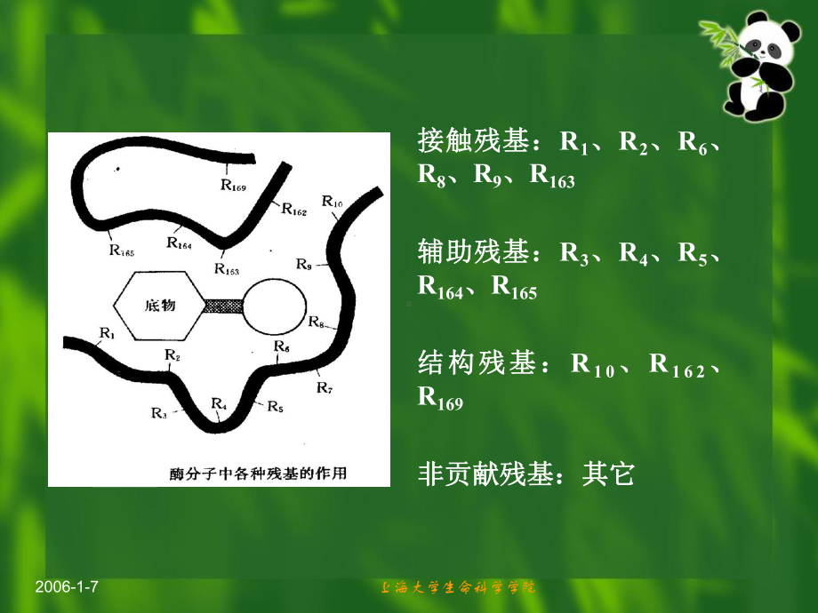 生物化学第十章酶的作用机制和酶的调节课件.ppt_第3页