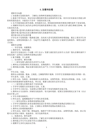 小学科学青岛版（六三制）六年级上册第二单元第6课《发霉和防霉》教案（2022新版）.docx