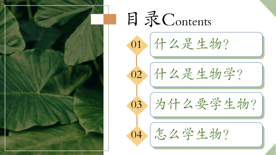 开学第一课 ppt课件2022年秋人教版生物七年级上册.pptx_第2页