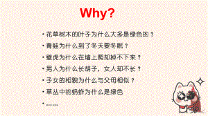 生物新学期开学第一课ppt课件2022年秋人教版生物七年级上册.pptx