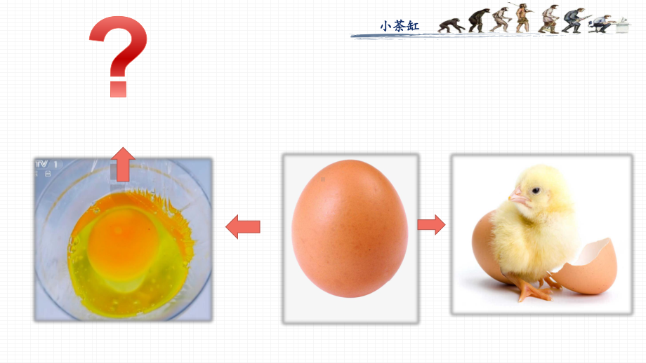 开学第一课-人教版七年级下册生物ppt课件（33张PPT）.pptx_第3页