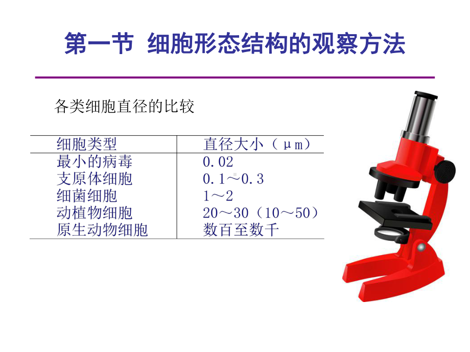 细胞生物学研究方法学时课件.ppt_第3页