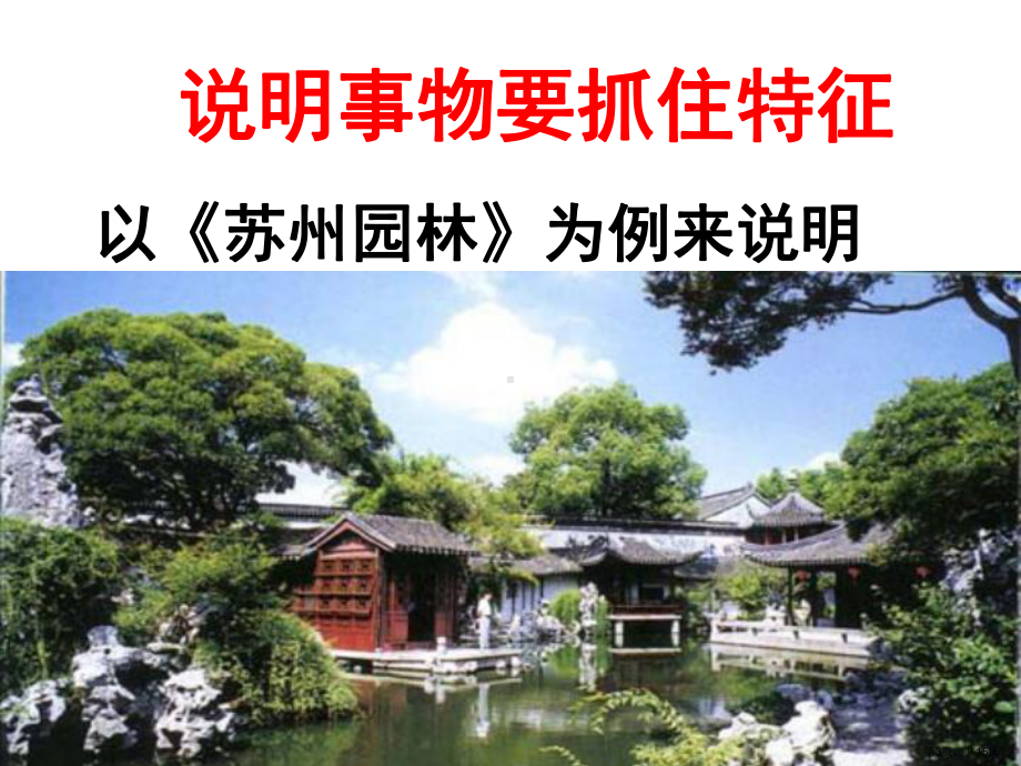 说明事物要抓住特征全面版课件.ppt_第3页