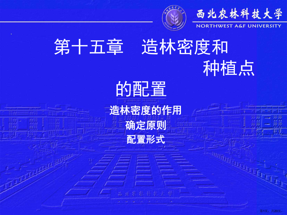 造林密度和种植点配置课件.ppt_第1页