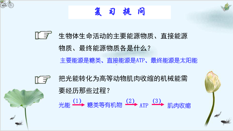 细胞呼吸的原理与应用课件.pptx_第2页