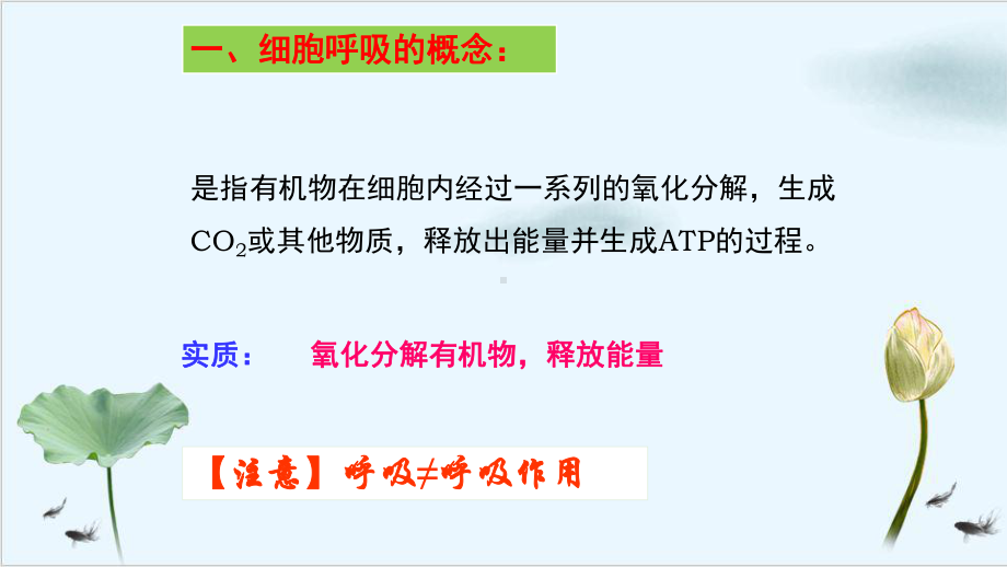 细胞呼吸的原理与应用课件.pptx_第3页