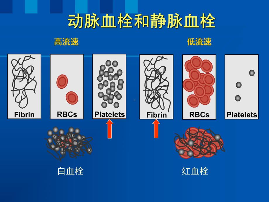 血栓防治新证据和新指南课件.ppt_第3页